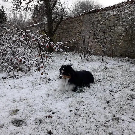 La Loge Des Fées Couette-café Latillé