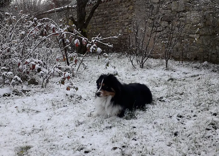 La Loge Des Fées Bed and breakfast Latillé